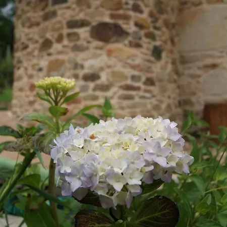 Casa De Busto Zas