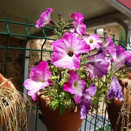 Casa De Busto Holiday home *