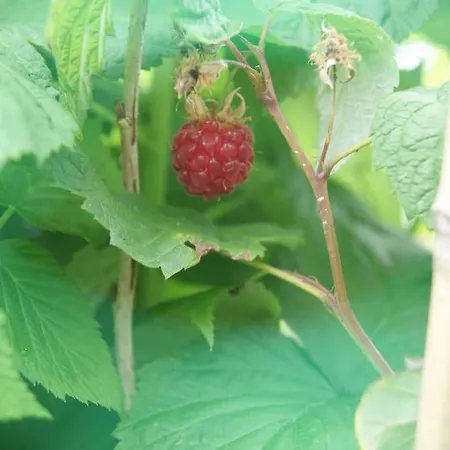 Vakantiehuis Casa De Busto