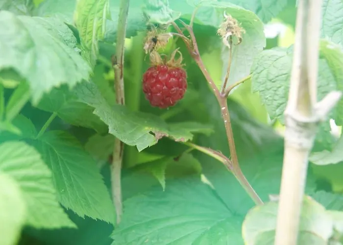 Vakantiehuis Casa De Busto